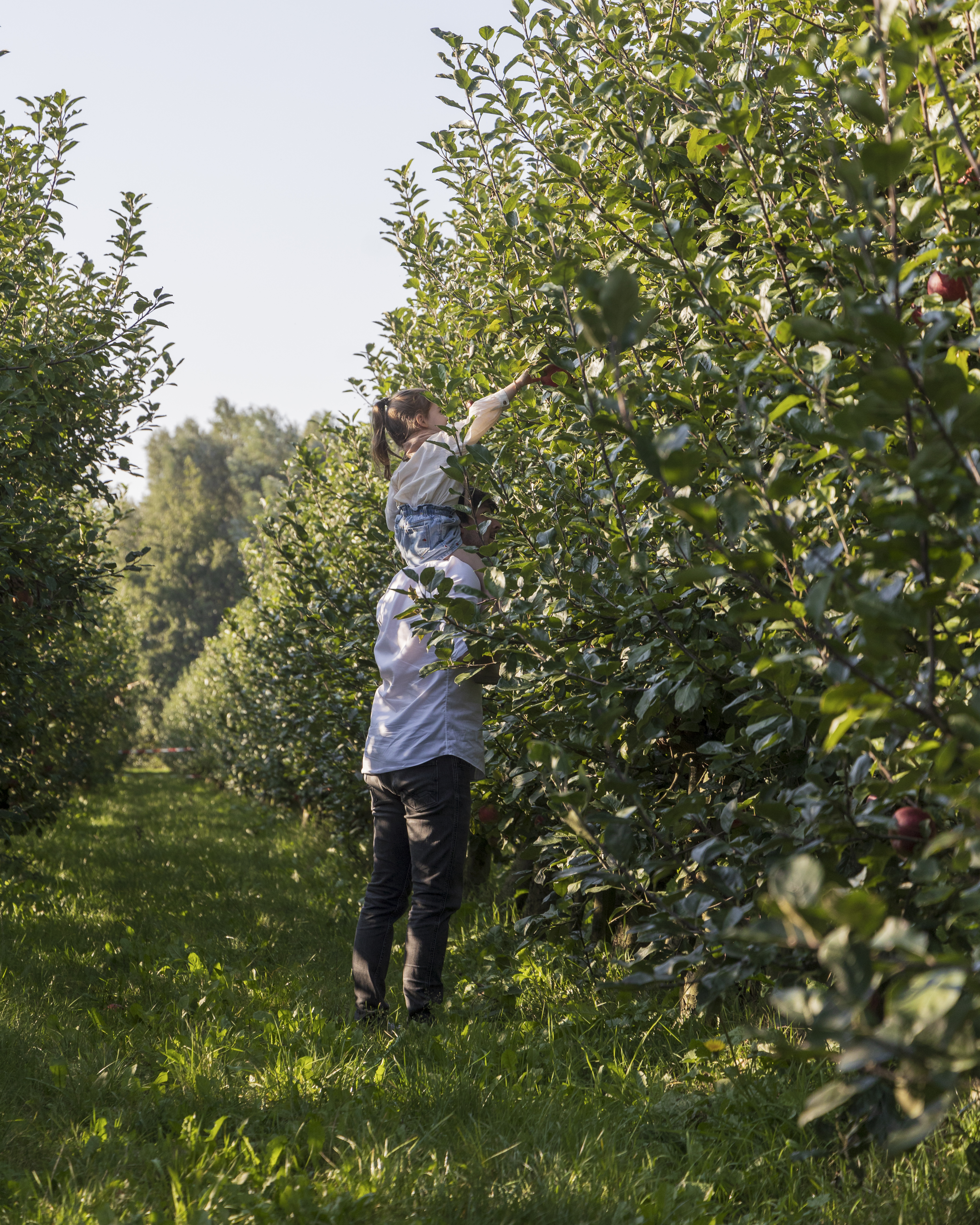 Landgoed de Olmenhorst