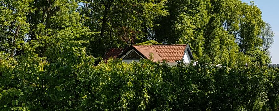 Landgoed de Olmenhorst