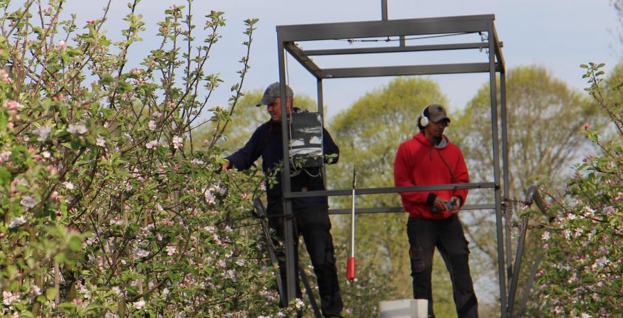 Landgoed de Olmenhorst