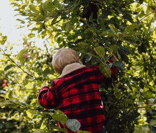 Landgoed de Olmenhorst