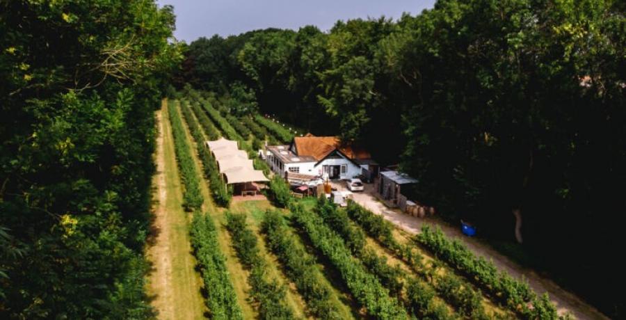 Landgoed de Olmenhorst