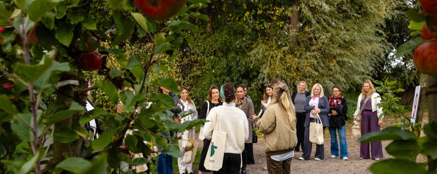 Landgoed de Olmenhorst