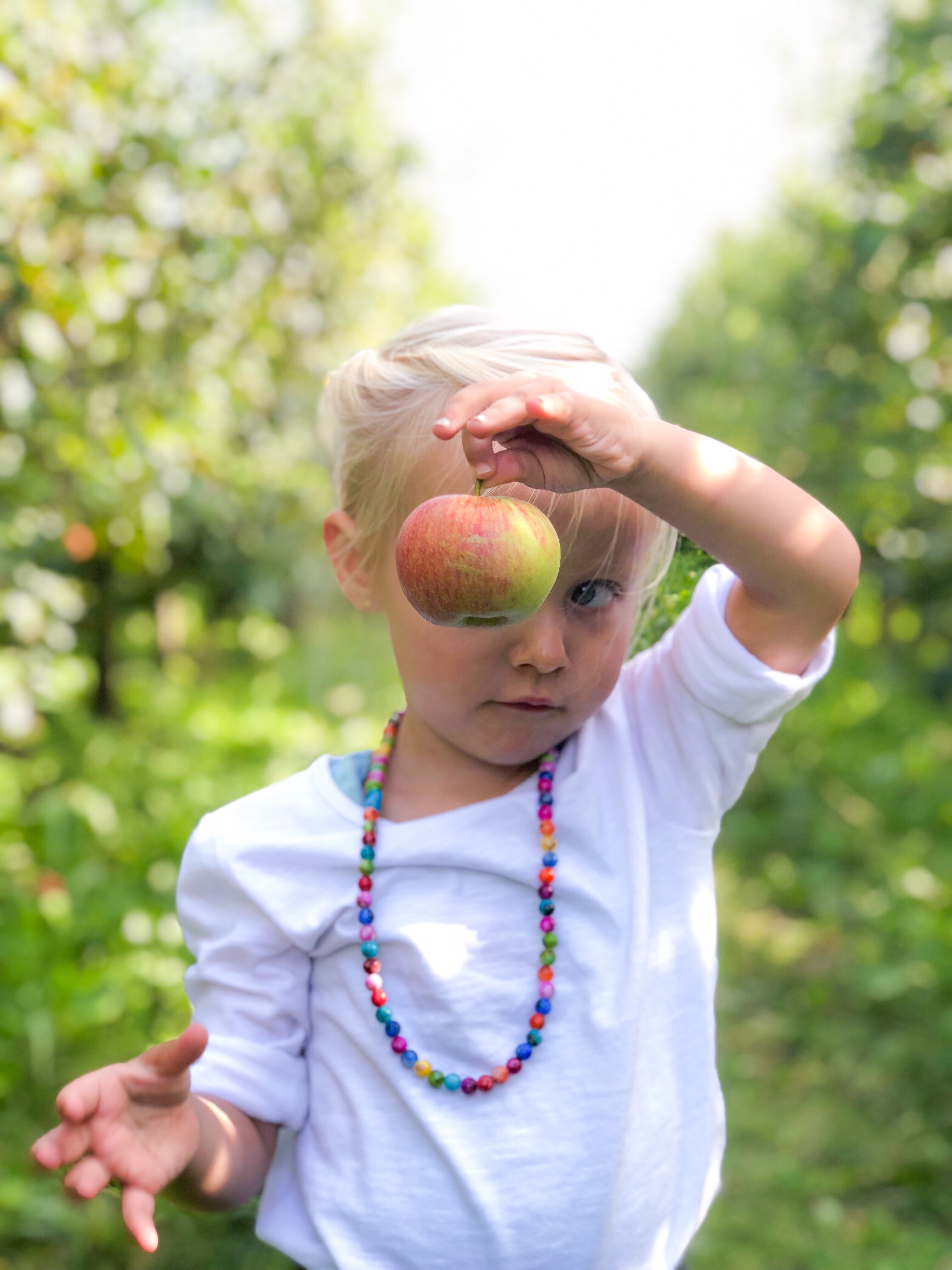 Landgoed de Olmenhorst