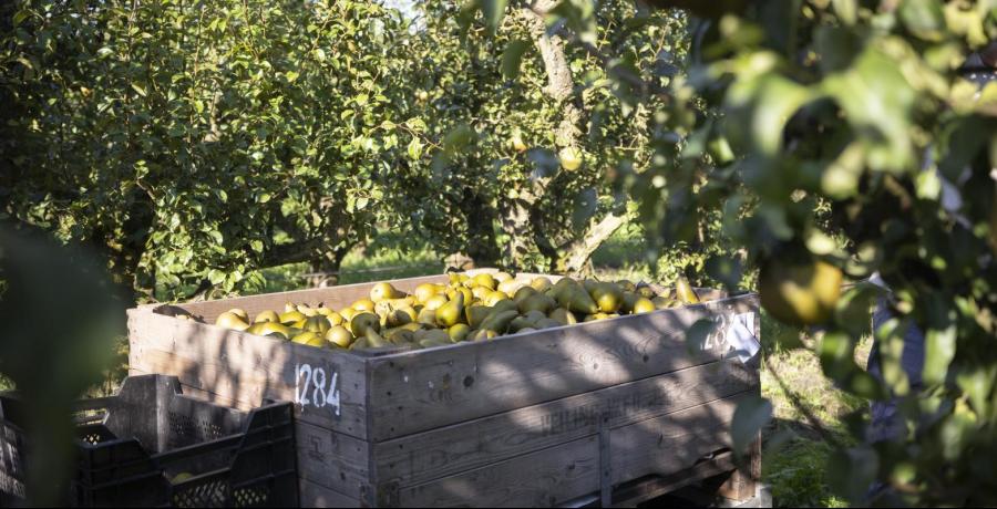 Landgoed de Olmenhorst