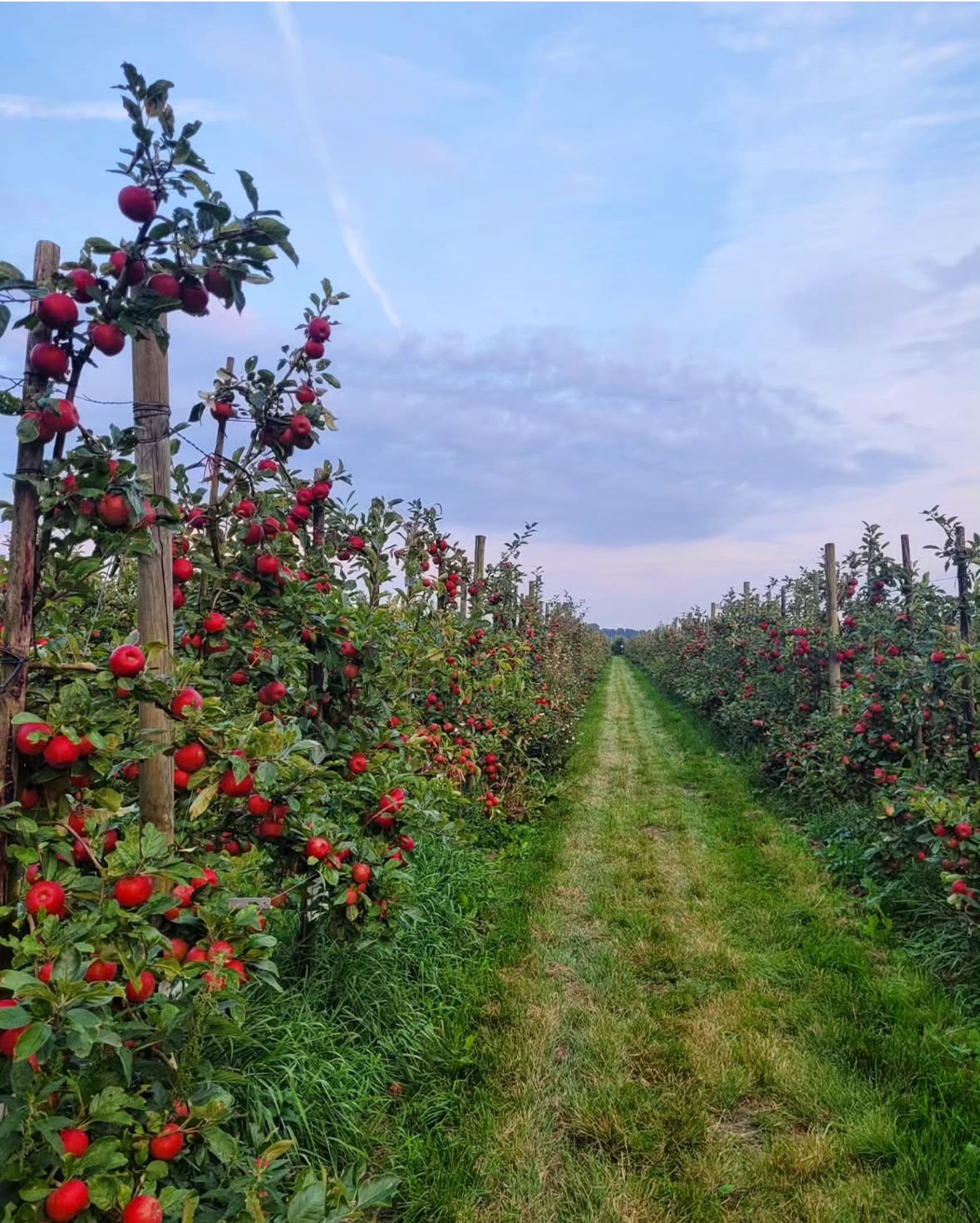 Landgoed de Olmenhorst