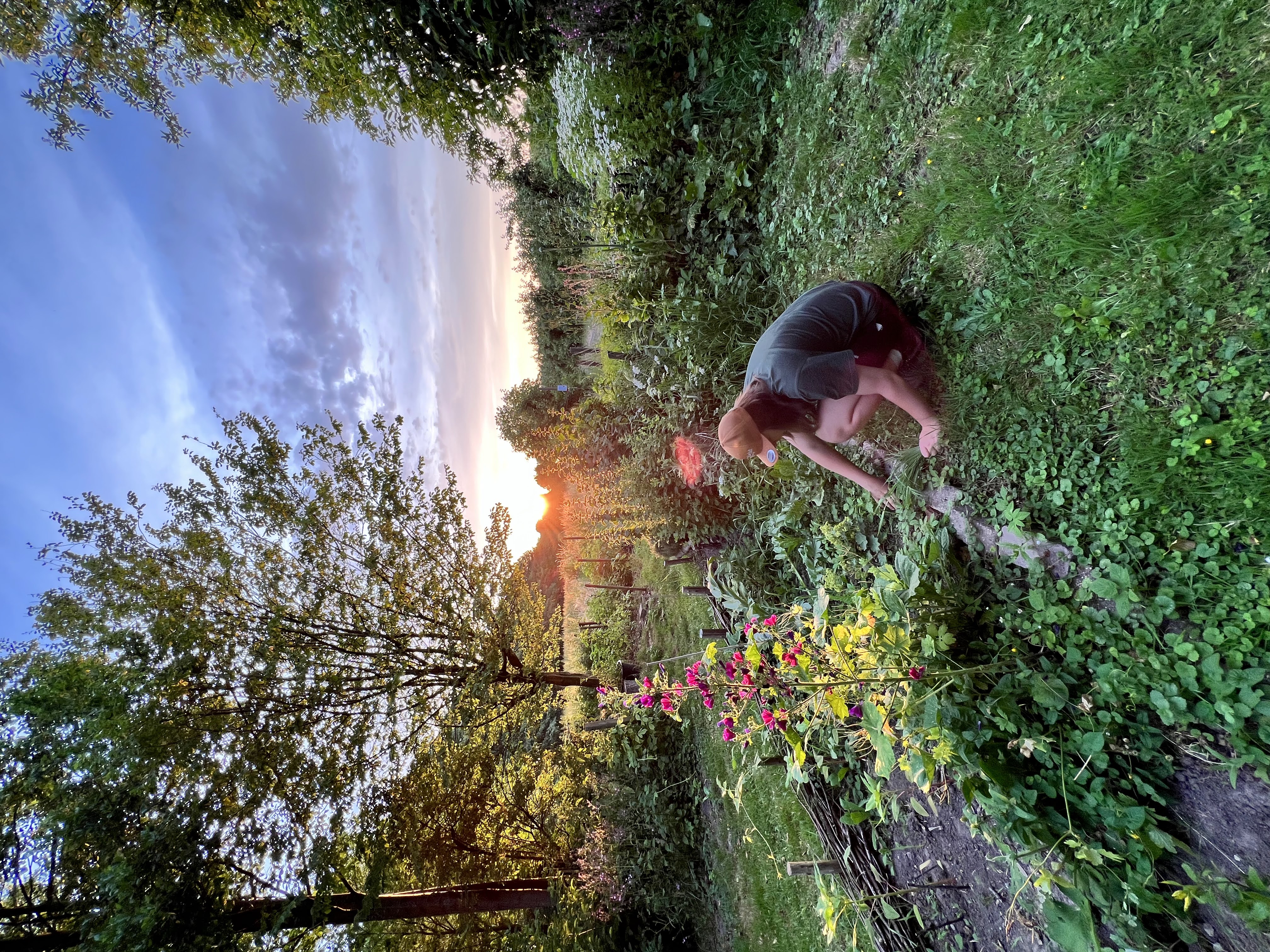 Landgoed de Olmenhorst