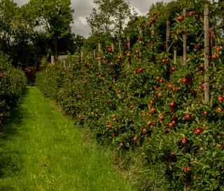Landgoed de Olmenhorst