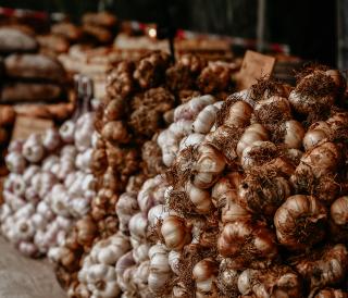 Landgoed de Olmenhorst