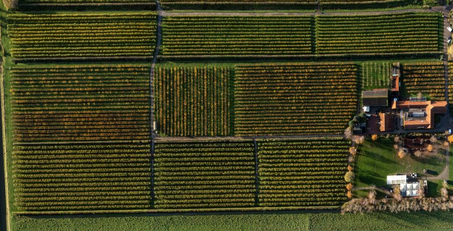 Landgoed de Olmenhorst