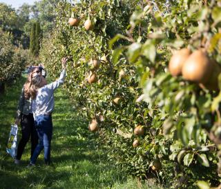 Landgoed de Olmenhorst