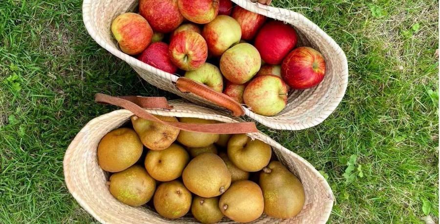 Landgoed de Olmenhorst