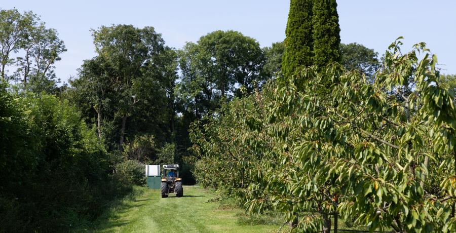 Landgoed de Olmenhorst