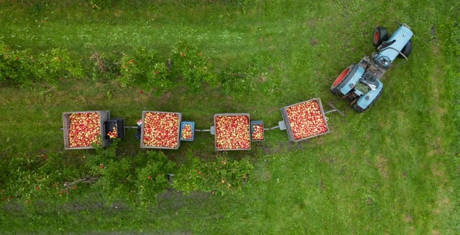 Landgoed de Olmenhorst