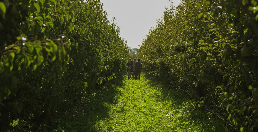 Landgoed de Olmenhorst