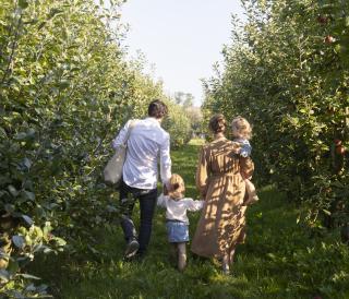 Landgoed de Olmenhorst