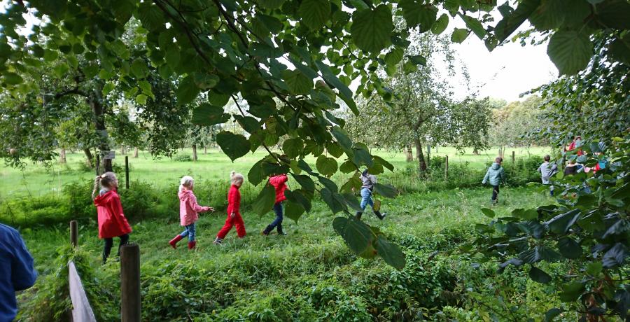 Landgoed de Olmenhorst