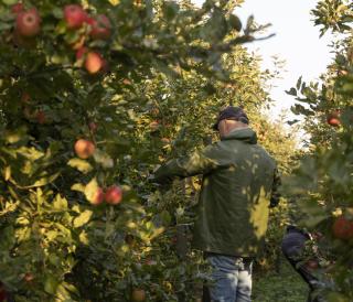 Landgoed de Olmenhorst
