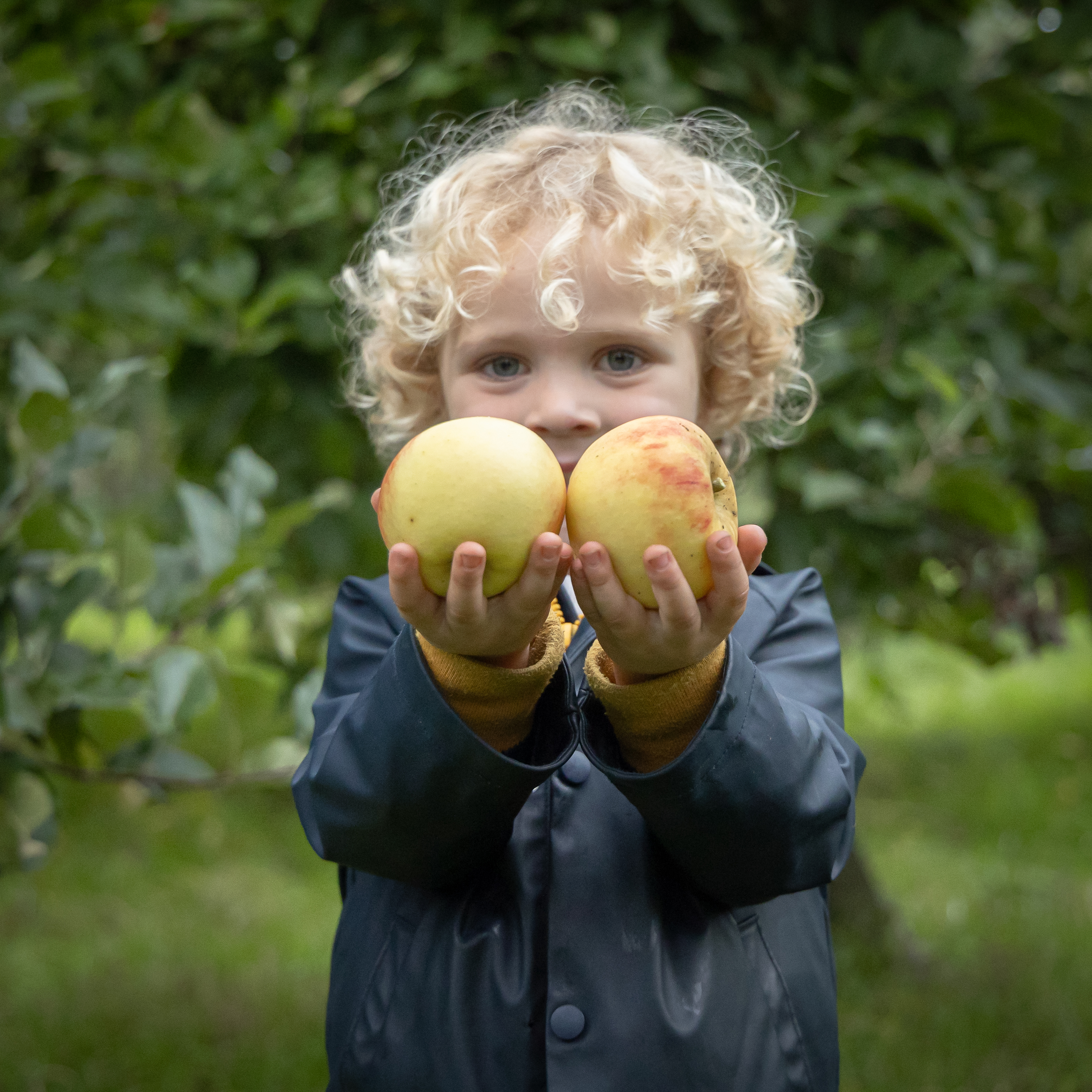 Landgoed de Olmenhorst