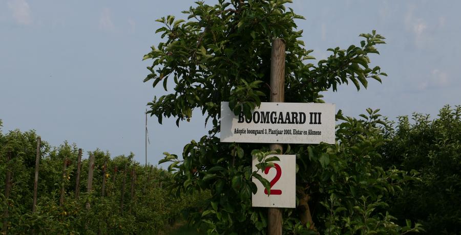 Landgoed de Olmenhorst