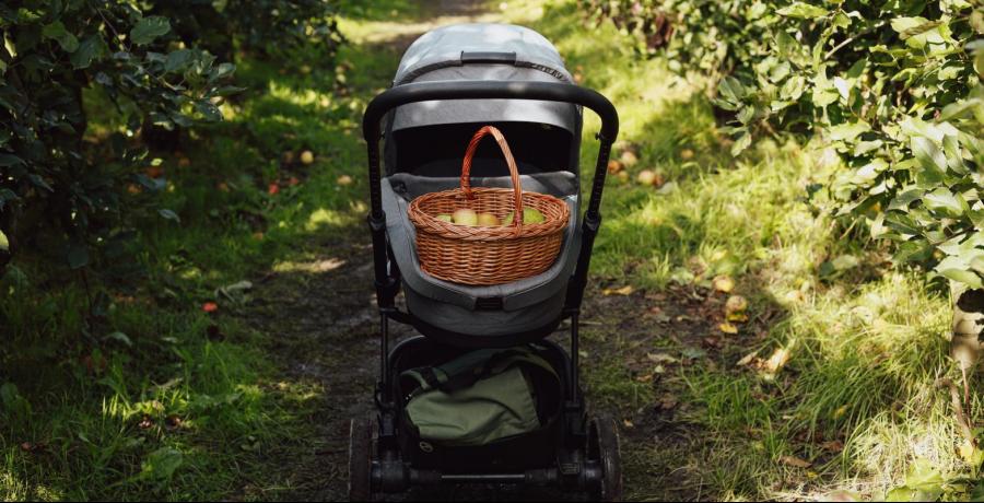 Landgoed de Olmenhorst