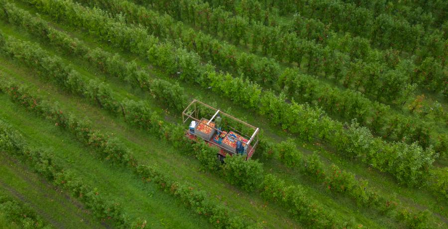 Landgoed de Olmenhorst