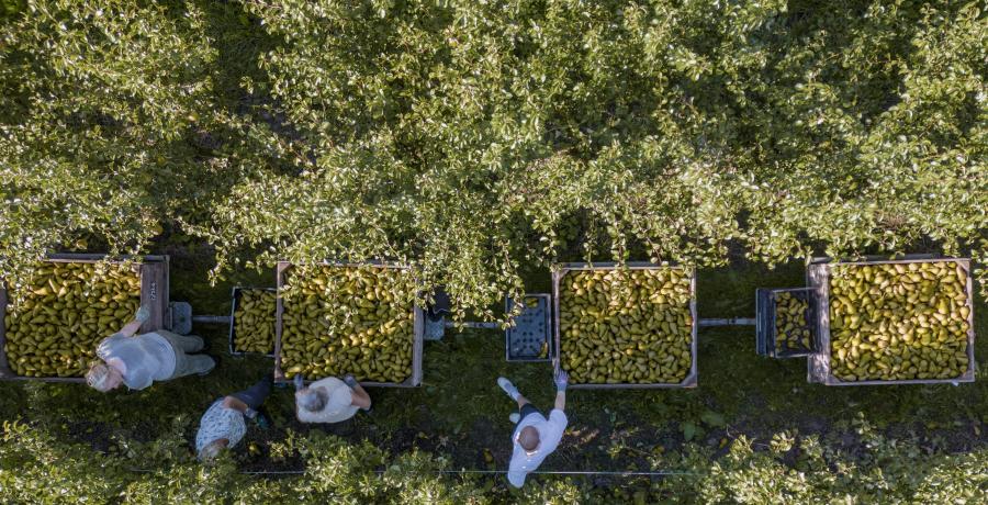 Landgoed de Olmenhorst