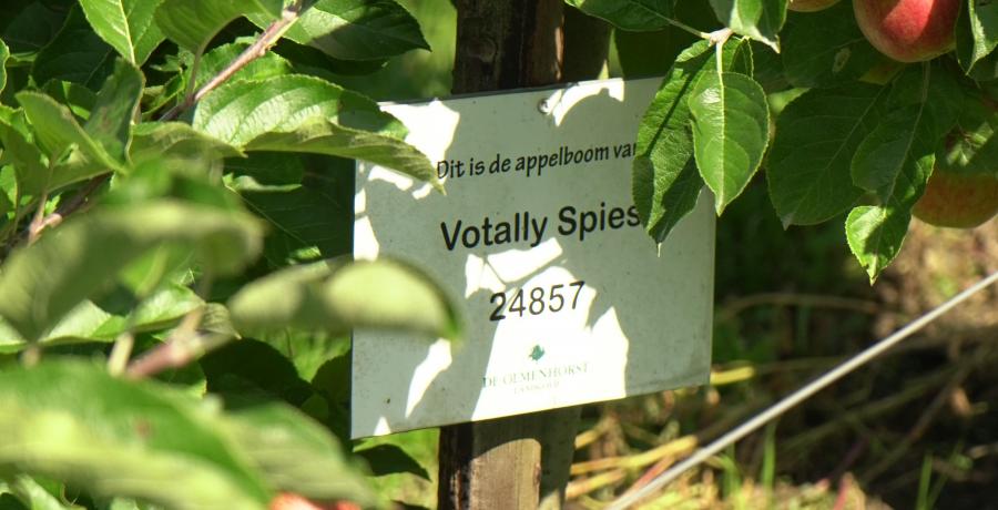 Landgoed de Olmenhorst