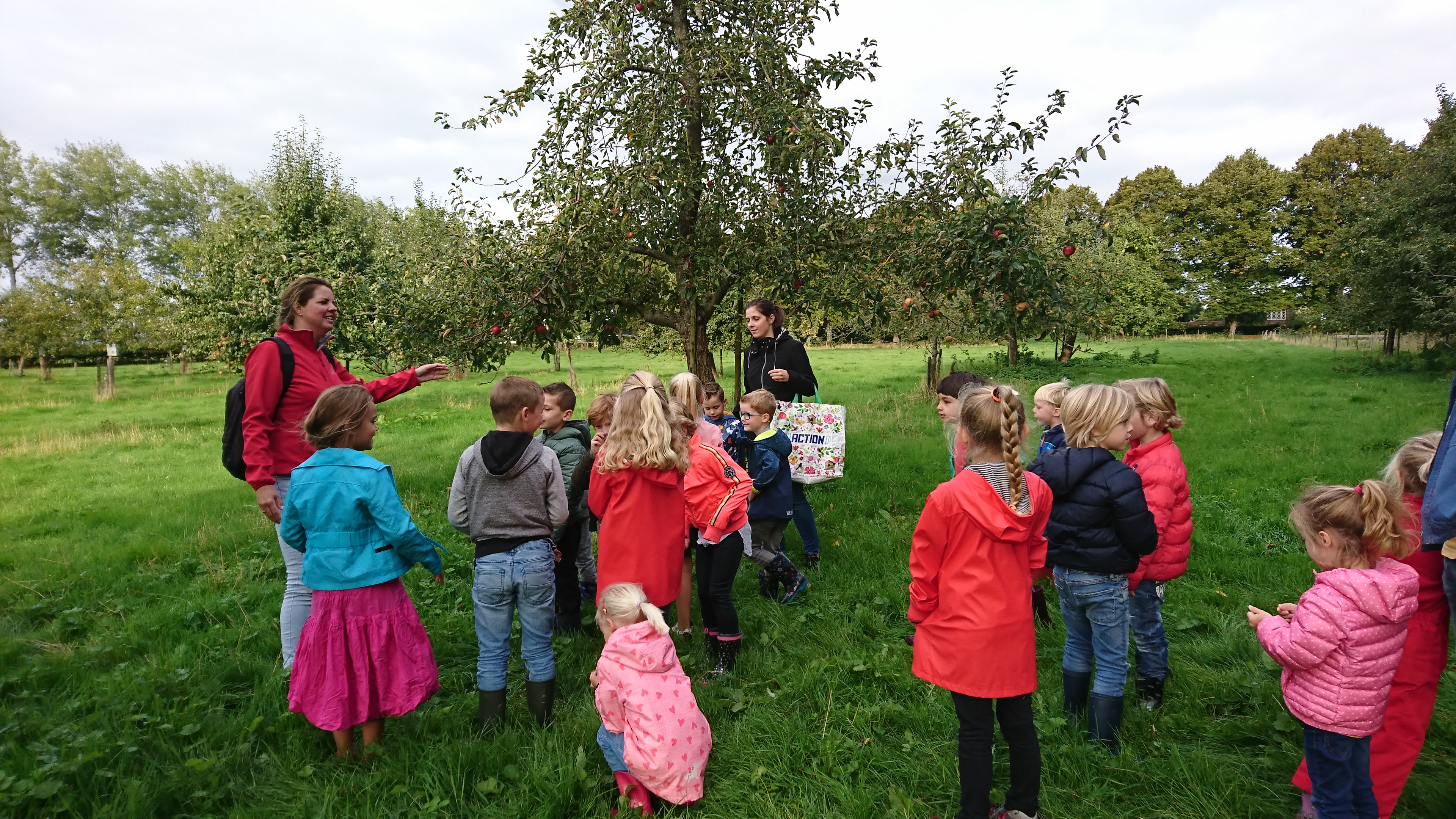 Landgoed de Olmenhorst