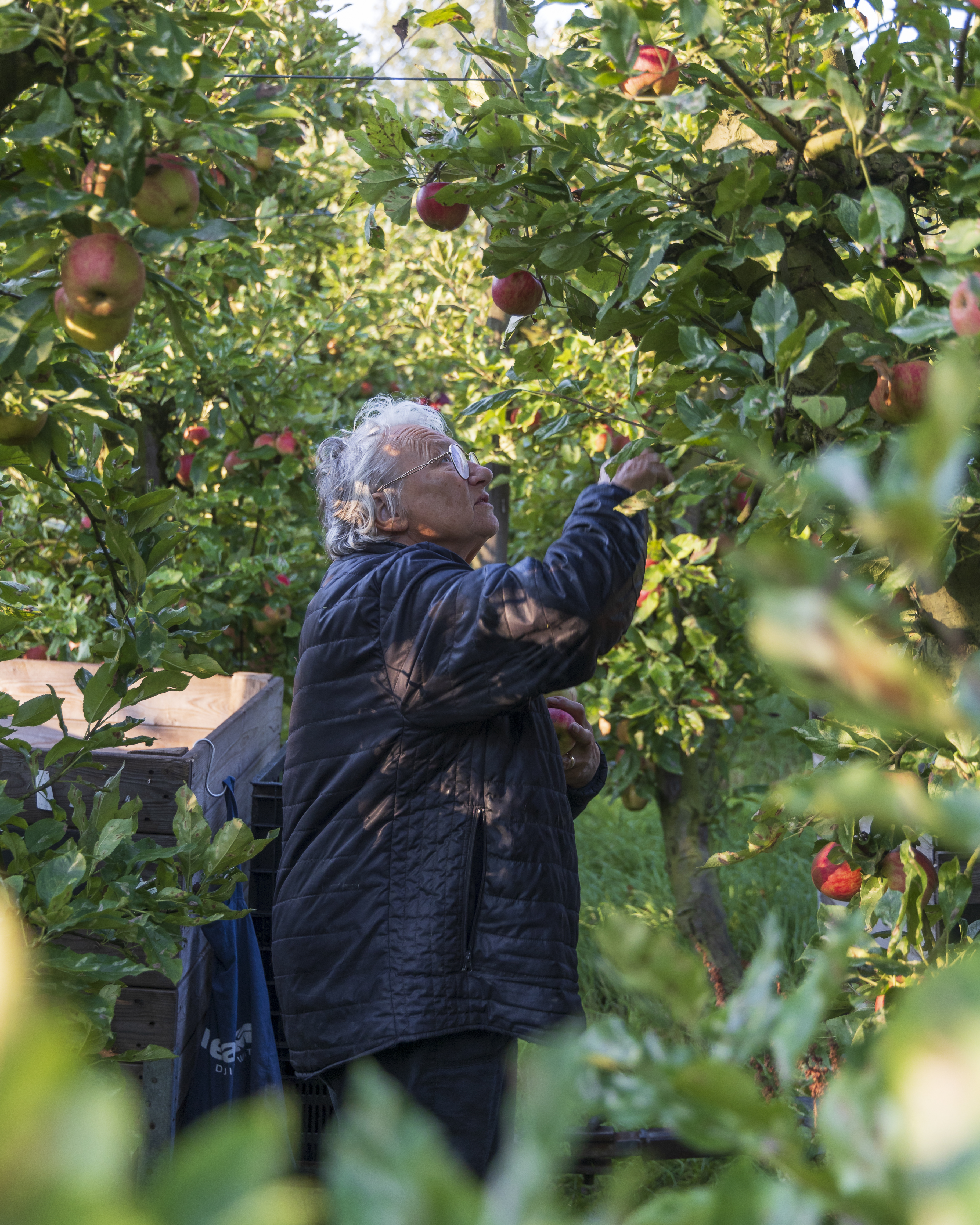 Landgoed de Olmenhorst