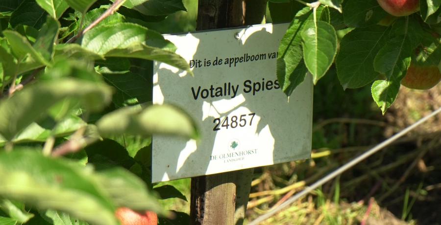 Landgoed de Olmenhorst