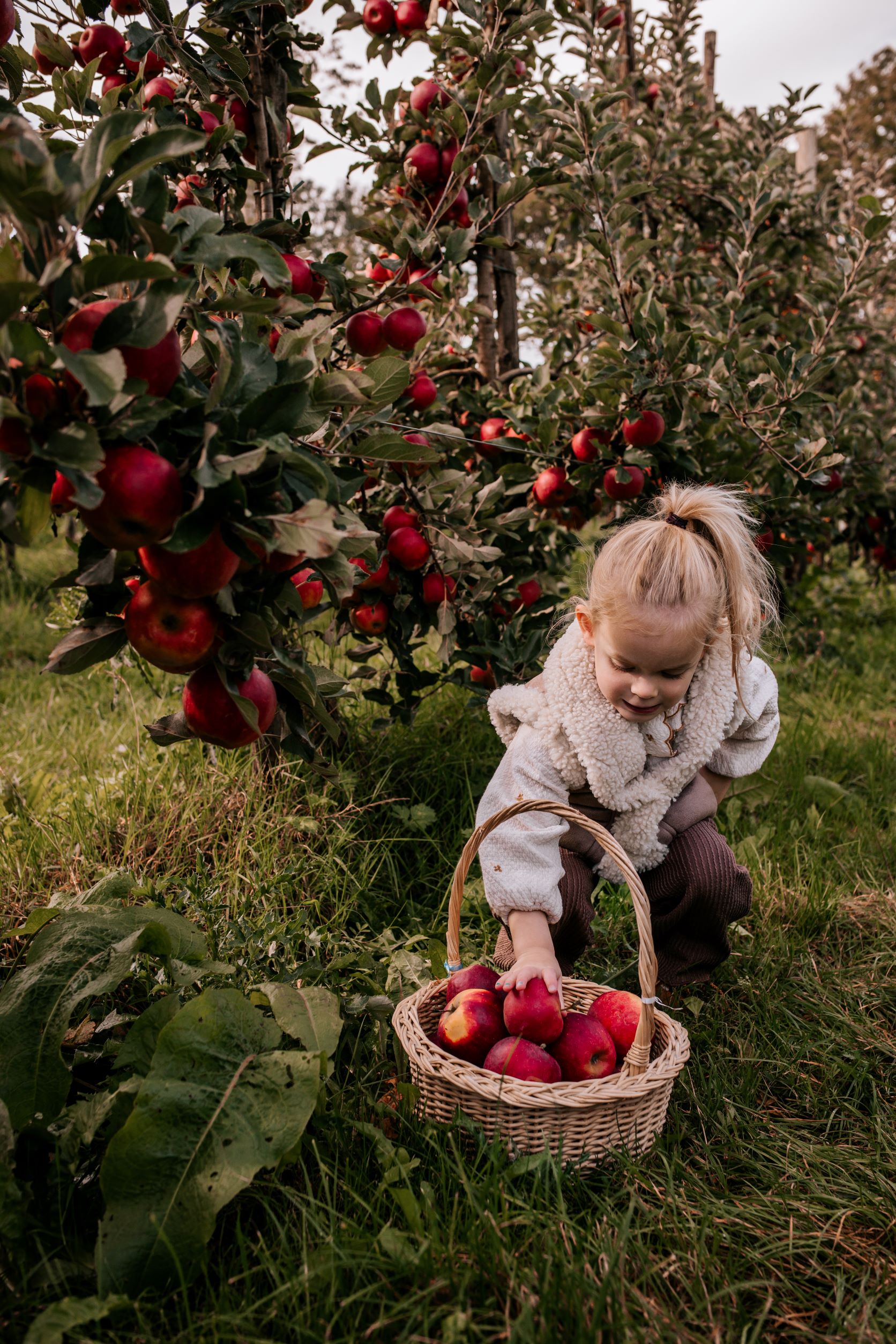 Landgoed de Olmenhorst