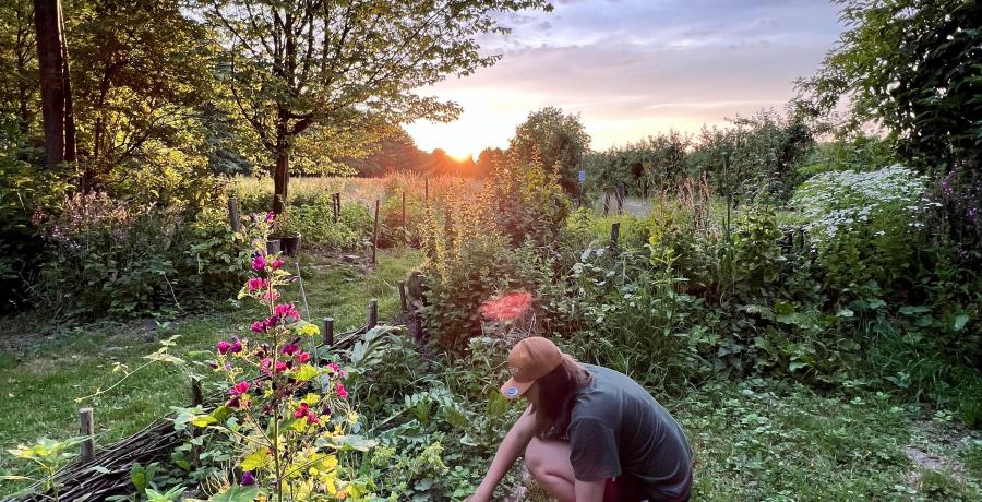 Landgoed de Olmenhorst