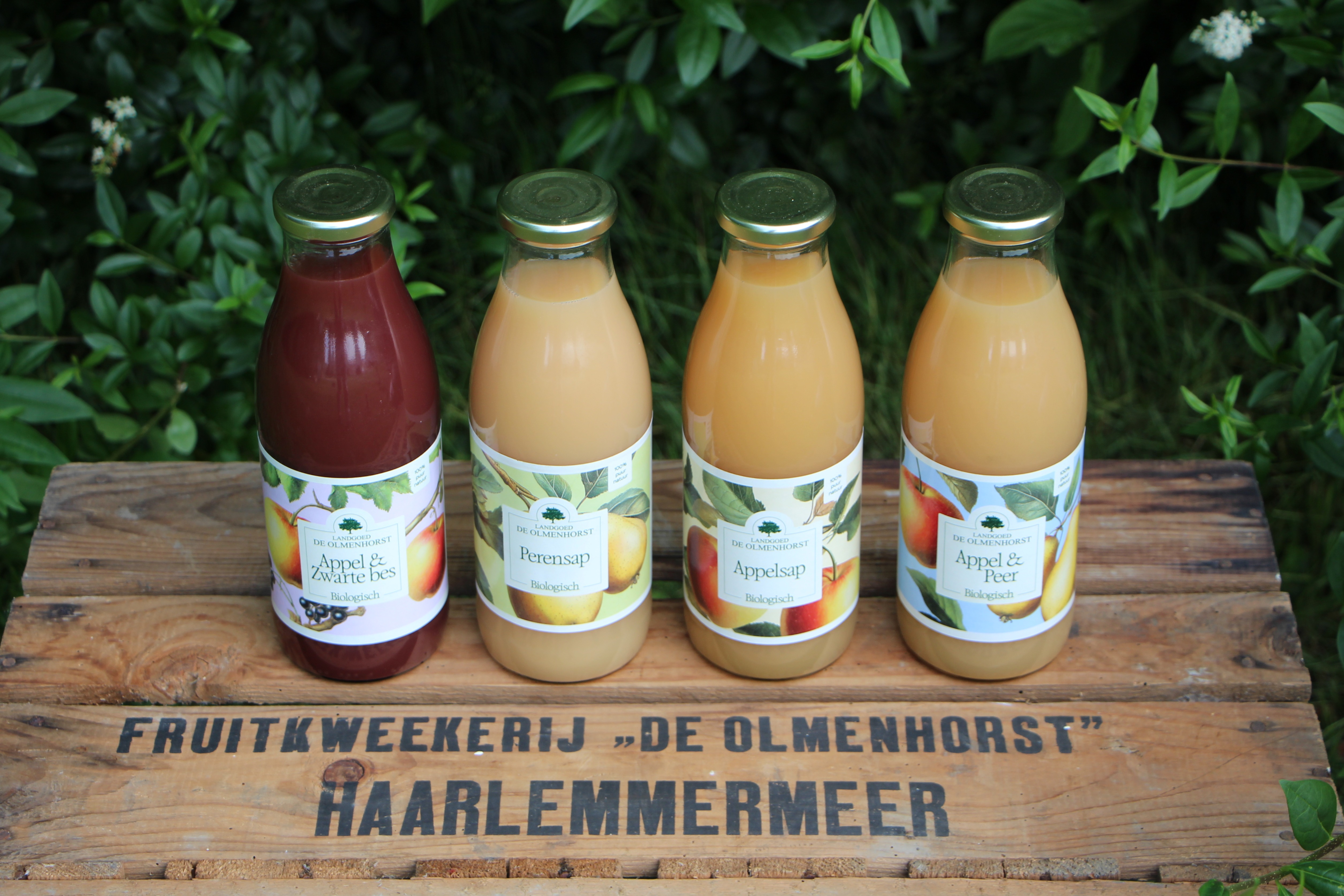 Landgoed de Olmenhorst