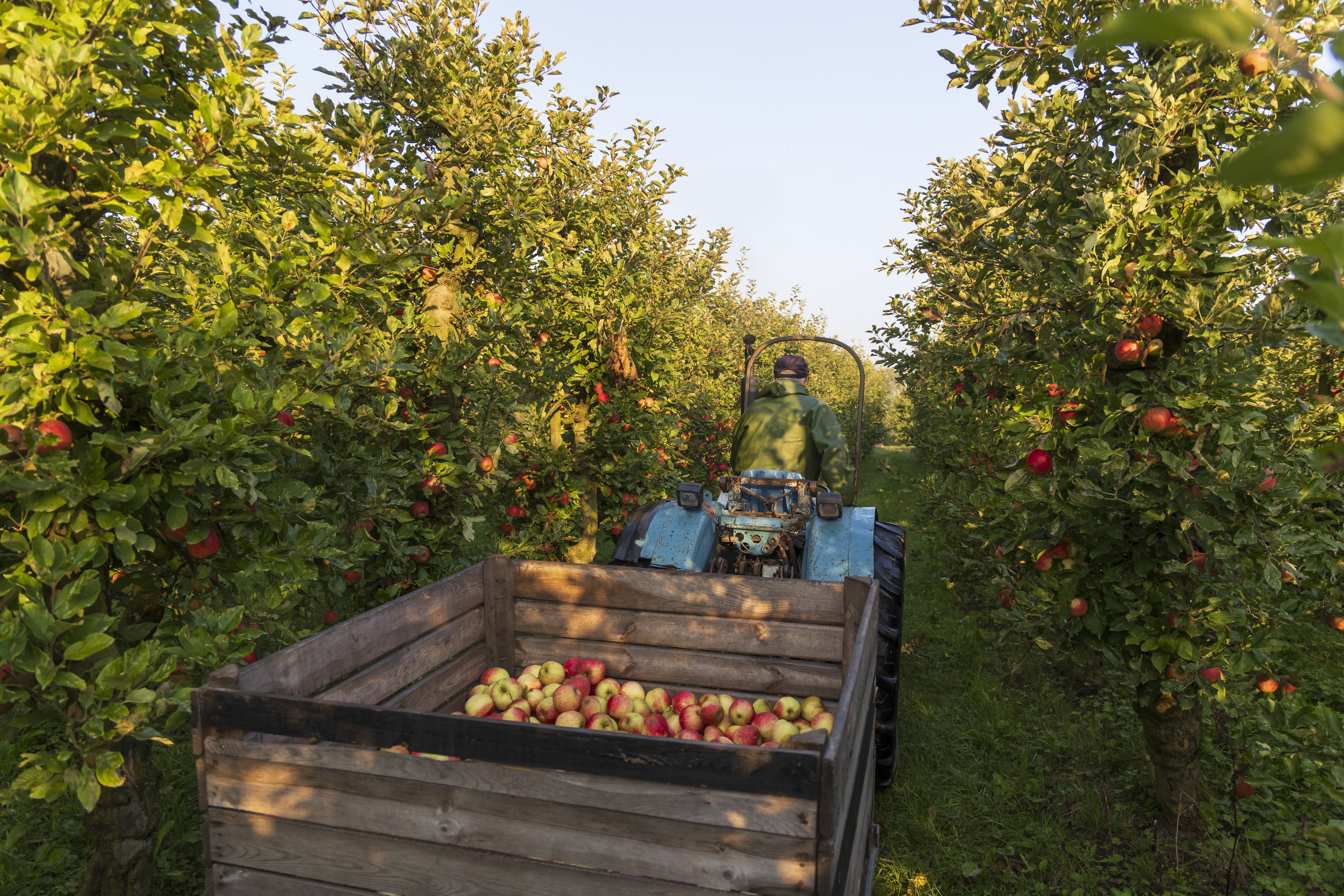 Landgoed de Olmenhorst