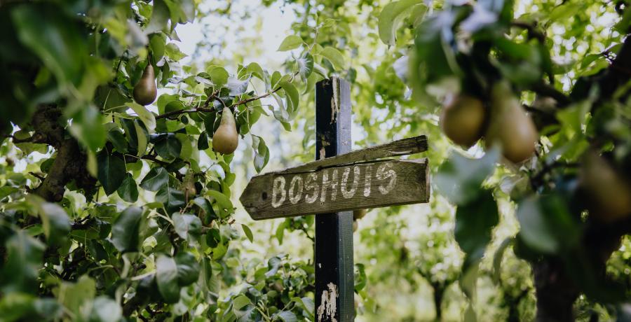 Landgoed de Olmenhorst