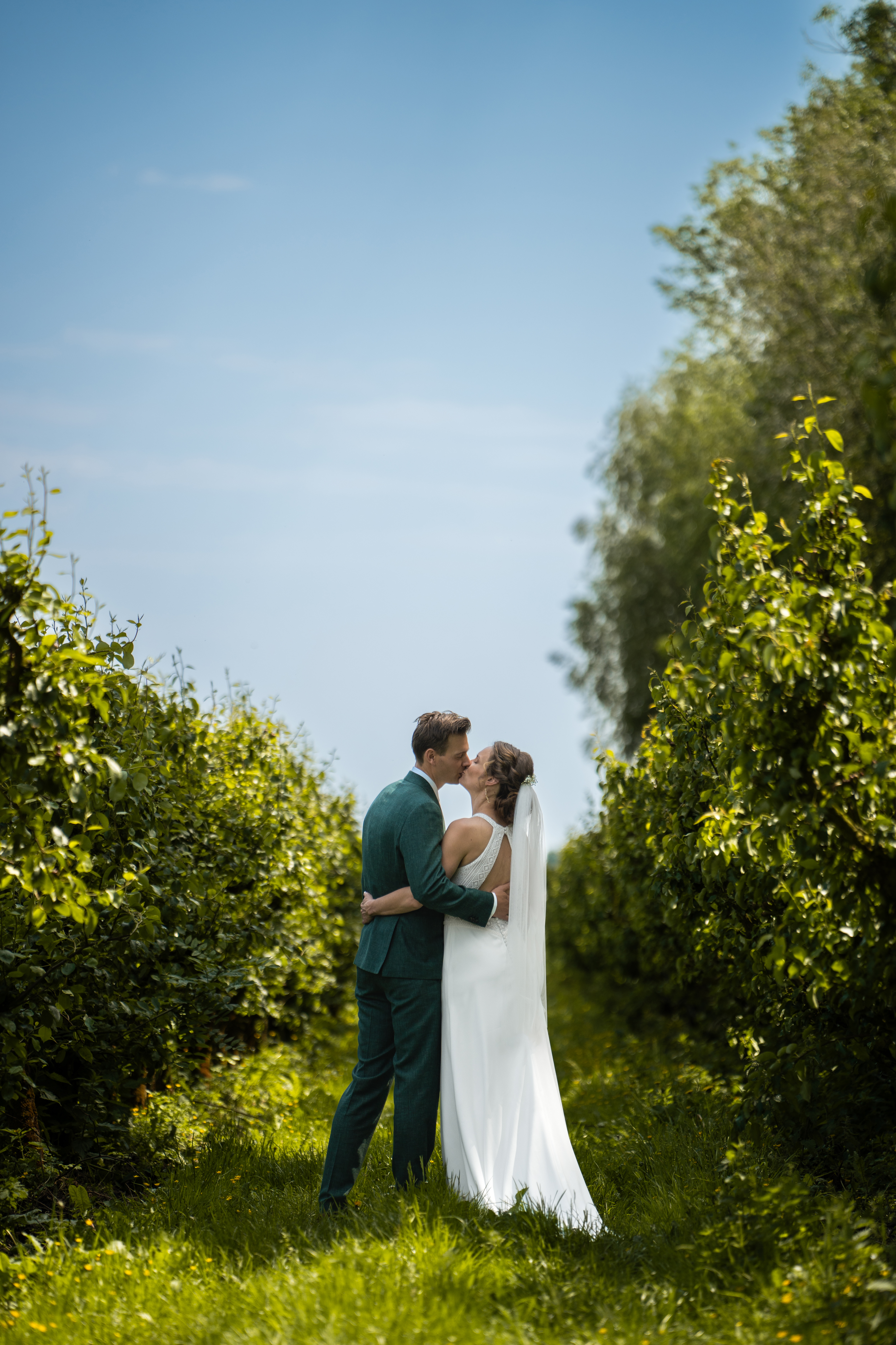 Landgoed de Olmenhorst