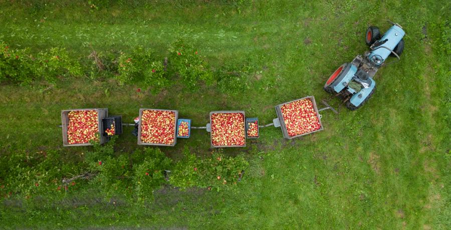 Landgoed de Olmenhorst