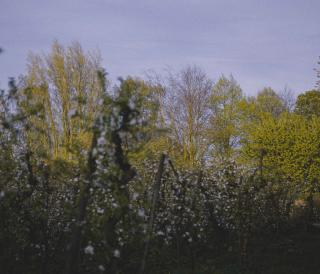 Landgoed de Olmenhorst
