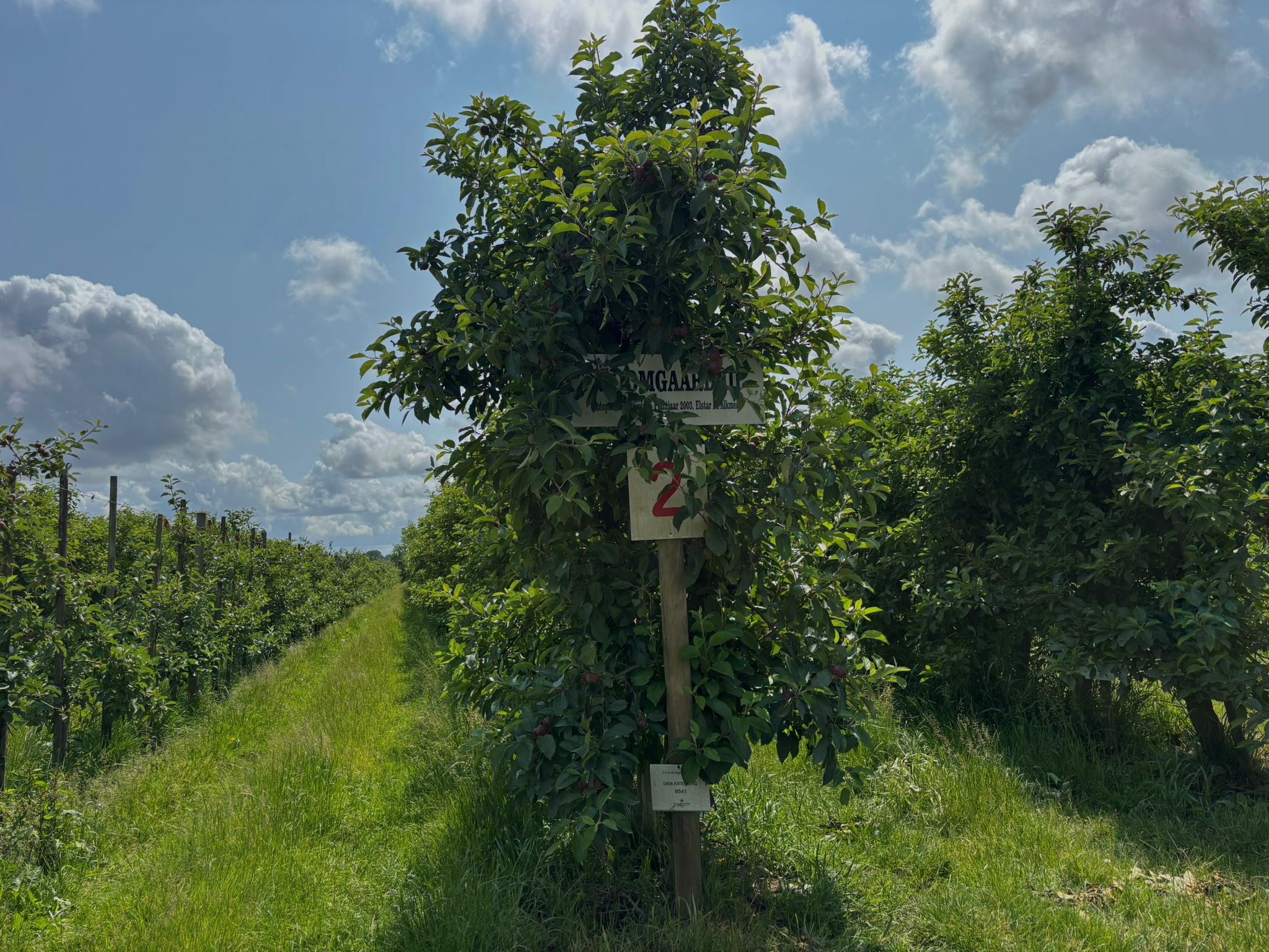 Landgoed de Olmenhorst