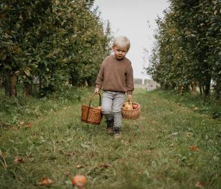 Landgoed de Olmenhorst