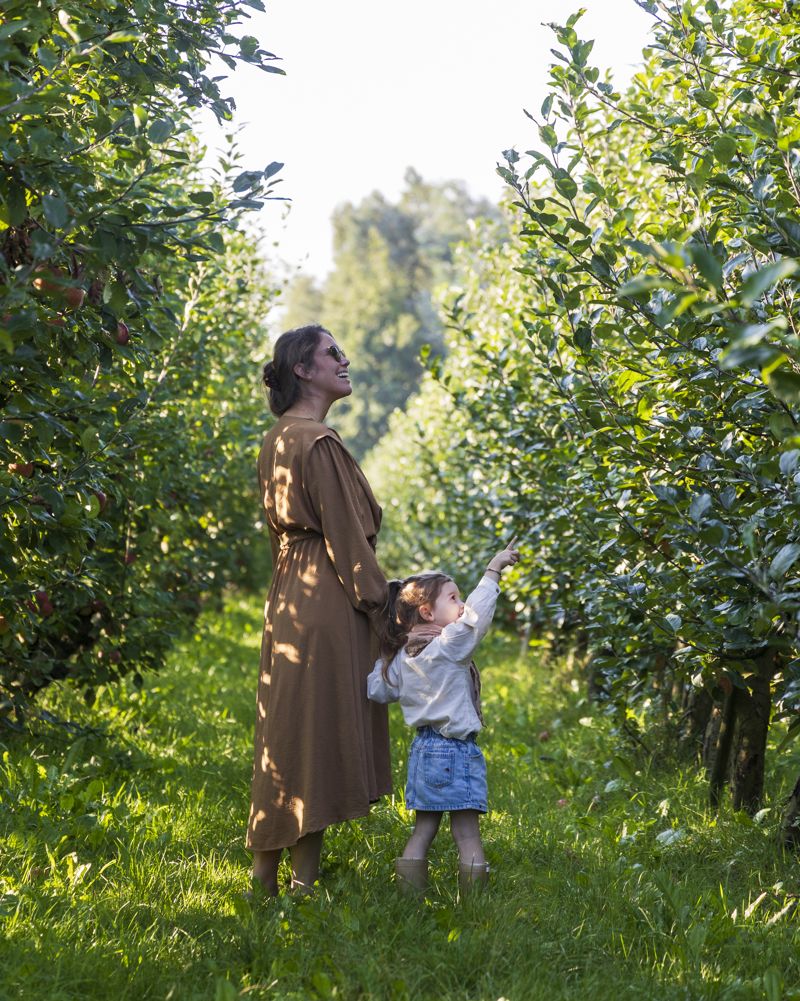 Landgoed de Olmenhorst